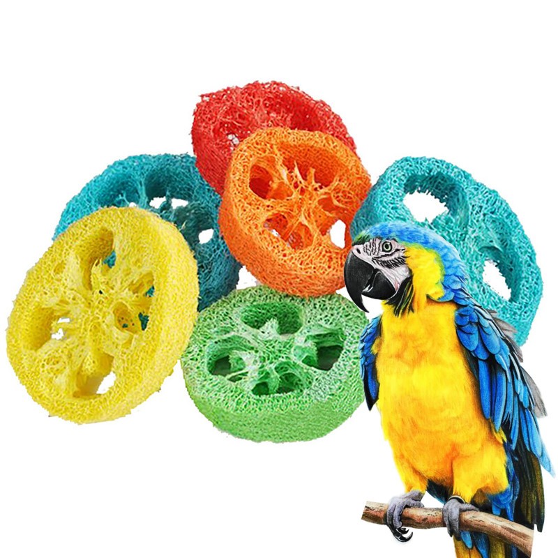 Haustierprodukte Papageien nagen Spielzeug DIY natürliche Loofah Luffa Core Toy Bird Supplies /Los