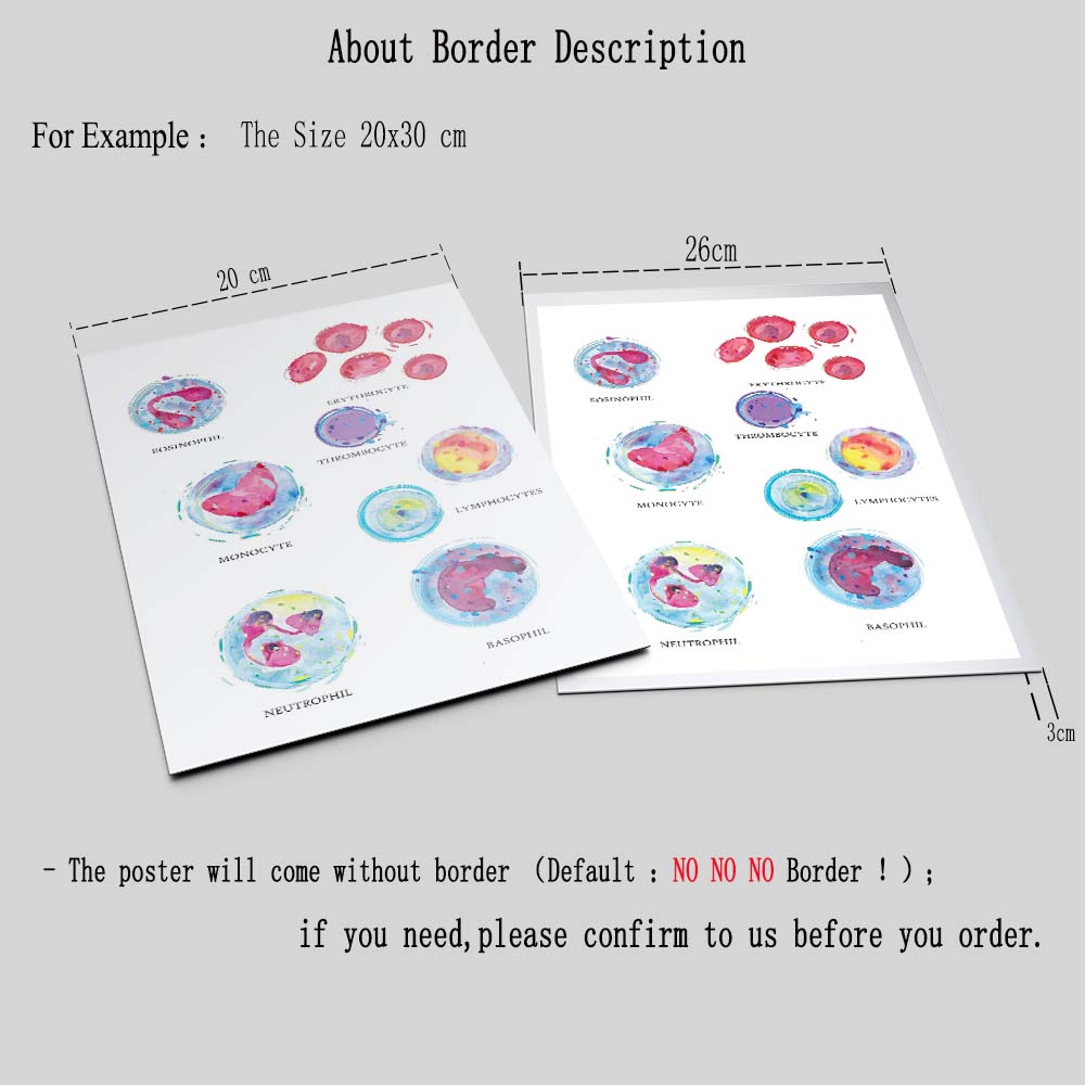 Médico Células sanguíneas Anatomia Arte da parede Médico Canvas Imprima a aquarela Hematologia Pintura Poster Biologia Decoração de Presentes Médicos