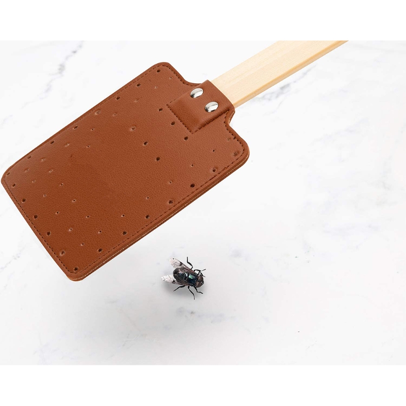 La mouche fasse une forte manuelle flexible manuelle swat fiche de lutte à la mode de mouche à mouches fortes swats avec poignée télescopique