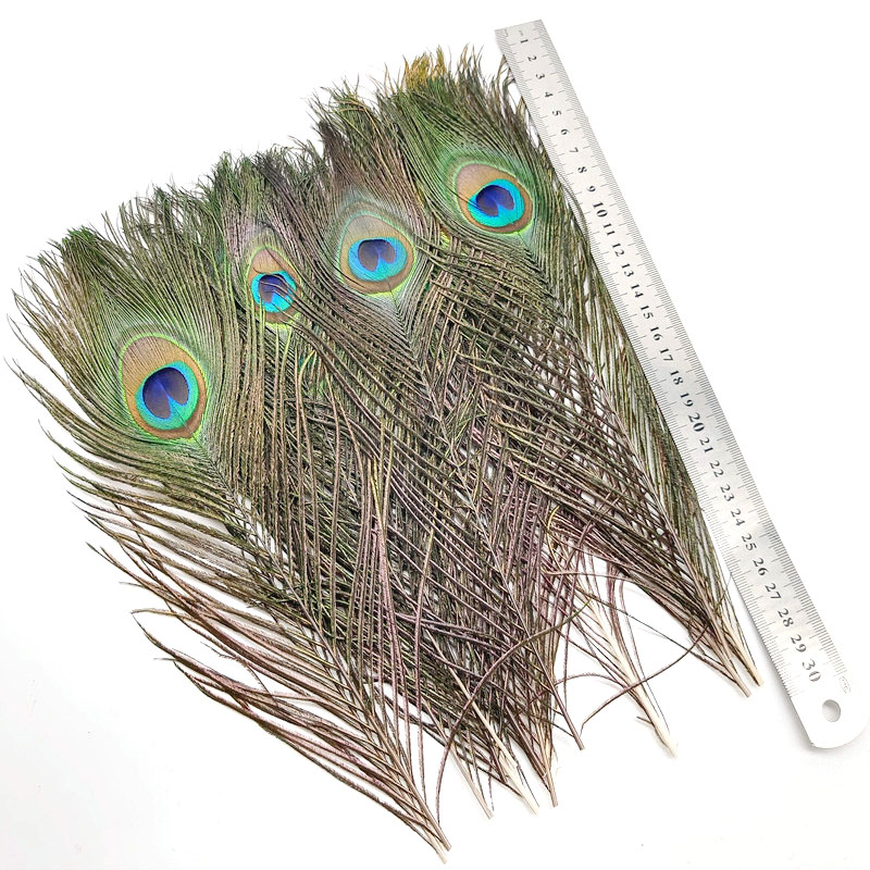 10/Natural Peacock Feathers Home Wedding Plumas plumas for table centerpices excalies handicraft accessories 25-30 cm