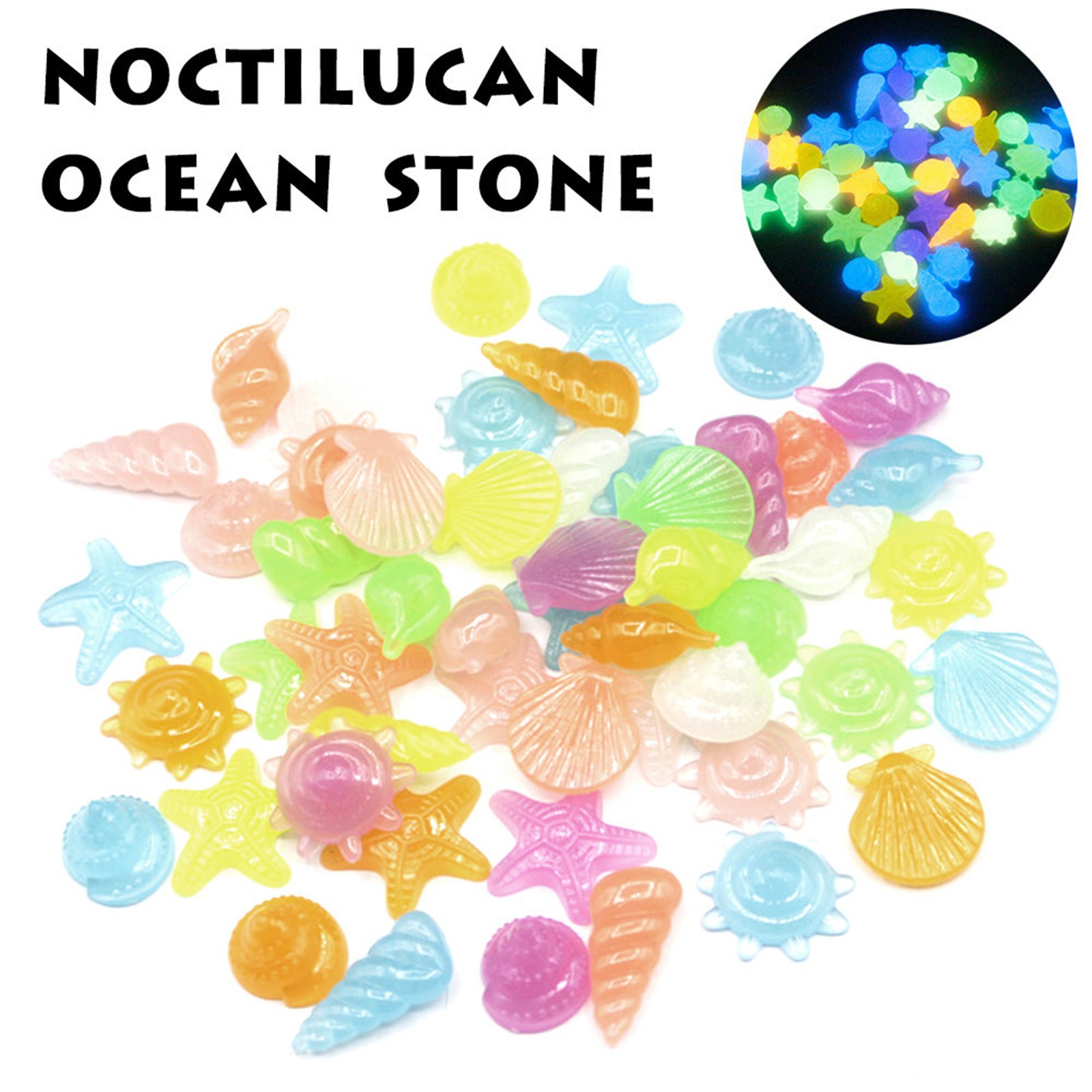 Briller dans les pierres foncées étoiles de mer conque coque en forme de jardin en forme de jardin aquarium aquarium piscine paysage pierre lumineuse pierre