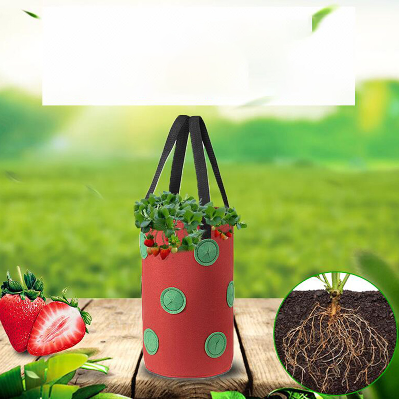3 gal 12 troines de la fraise cultiver des sacs de pot plantes fleur de fleur de tomate Fleurée mur de jardin suspendu la racine de légumes plantant réutilisable
