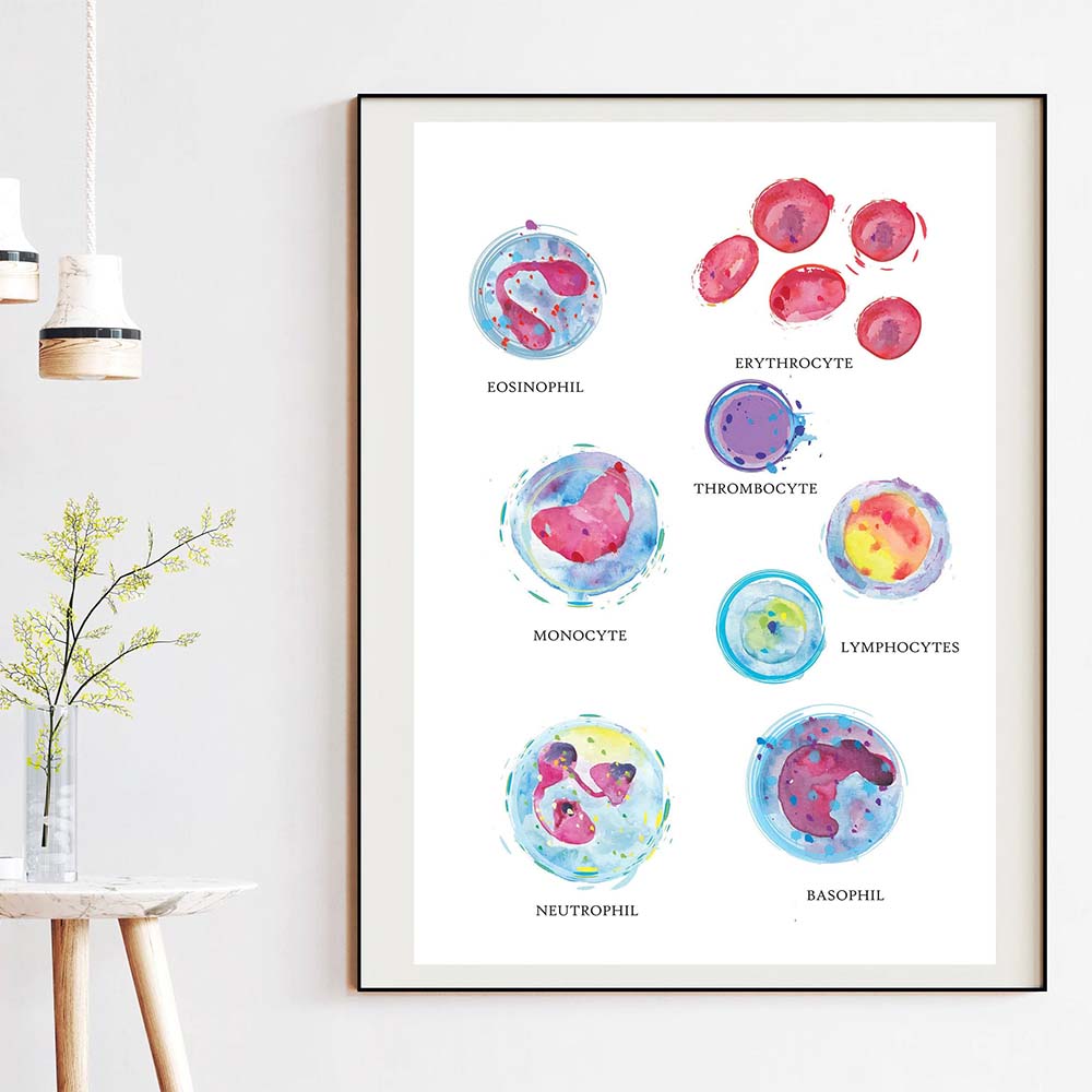 Médico Células sanguíneas Anatomia Arte da parede Médico Canvas Imprima a aquarela Hematologia Pintura Poster Biologia Decoração de Presentes Médicos
