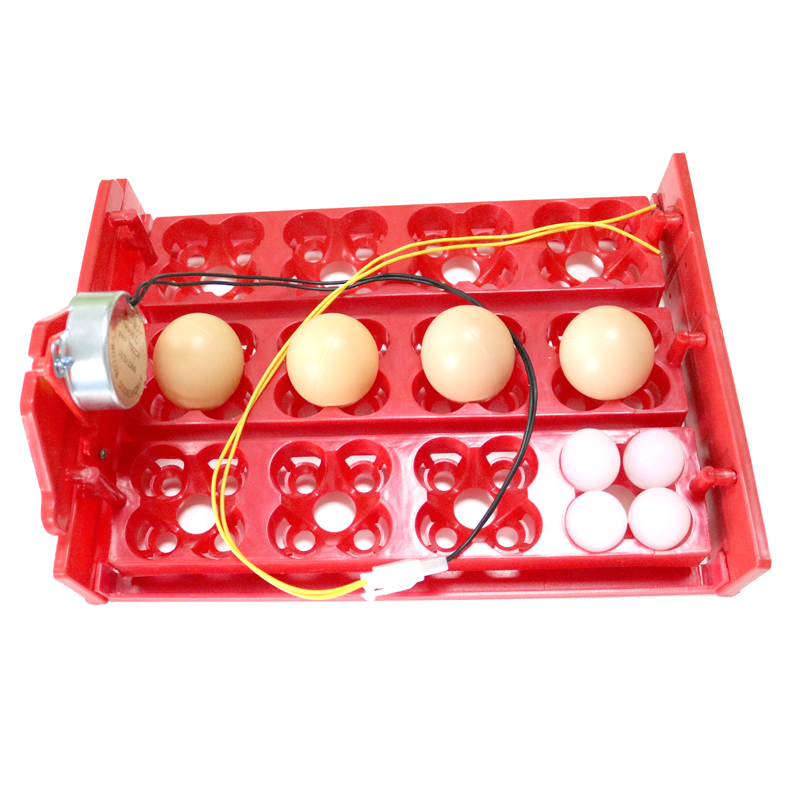 12 ägg/48 fåglar Egg Inkubator Turn Eggs Tray 220V/110V/12V Chicken Bird Automatisk inkubator Poultry Inkubatorutrustning