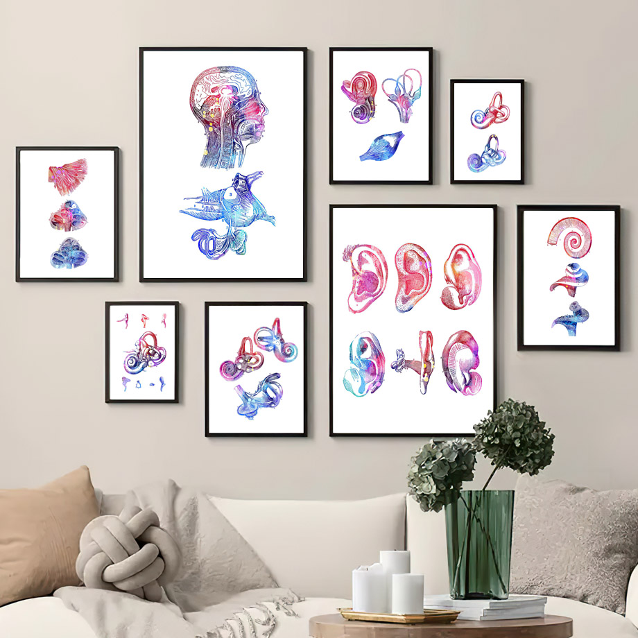 Audiology Ohr Anatomie Cochlea Hörwandkunst Leinwand Malerei Nordische Plakate und Drucke Wandbilder für medizinische Klinikdekoration