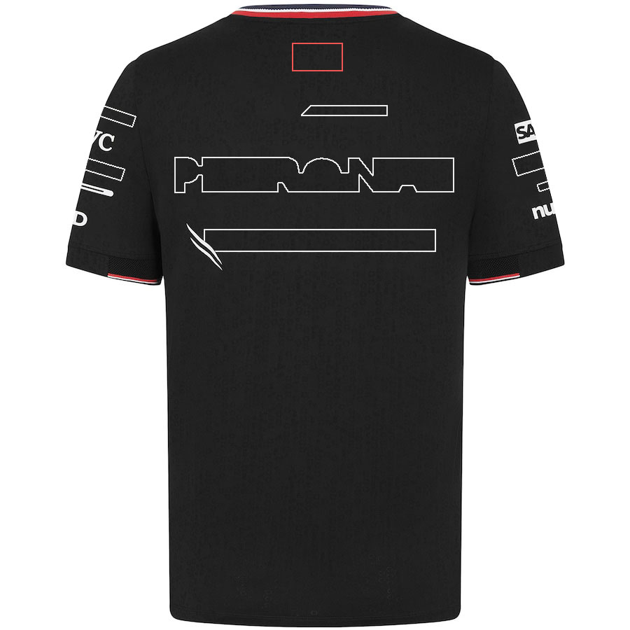 F1 2024 Drużyna T-shirt Formuła 1 Racing Polo Shirt T-shirt Race Sports Nowy sezon Ubranie letnich samochodów fanów męskie koszulka koszulka