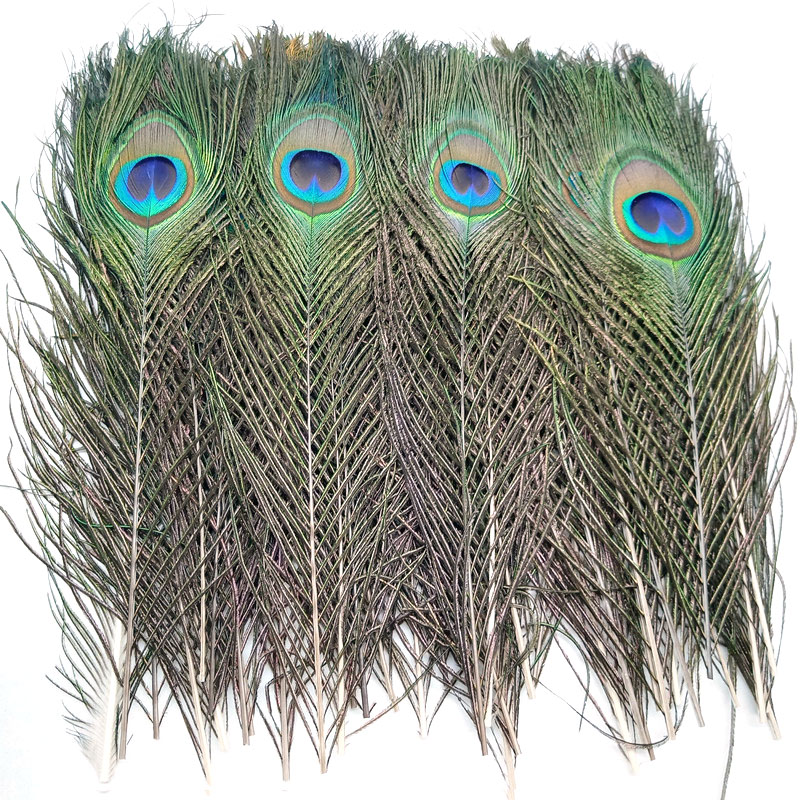 10/Natural Peacock Feathers Home Wedding Plumas plumas for table centerpices excalies handicraft accessories 25-30 cm