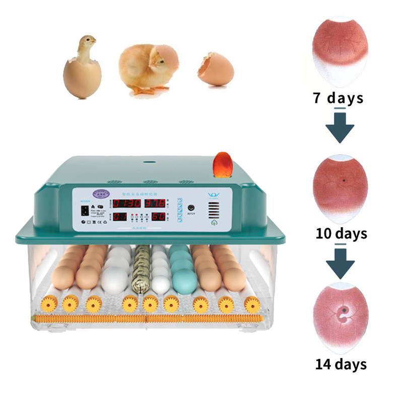 Inkubator jajka w pełni automatyczna wylęgarnia brooder maszyna Turner Home Controller Farm Egg Inkubator Kurczaki ptak