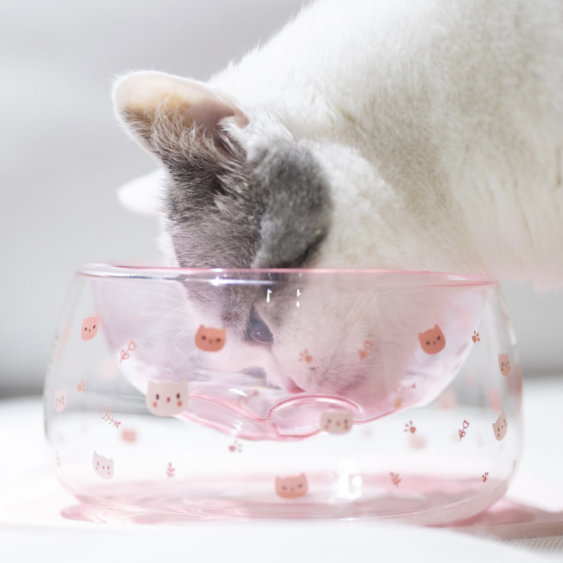 Kawaii Glass Cat Paw Food Bowl Mug Cute Sakura Double Layer Pet Dog Water Dispenser Mat Super värmesistenta matare PET-produkter