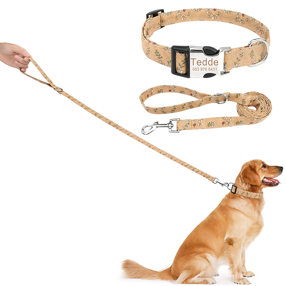 Pet Collar Leases Set Custom Puppy Cat Dog Leash Personlig typskylt ID PET -krage för medelstora stora hundar