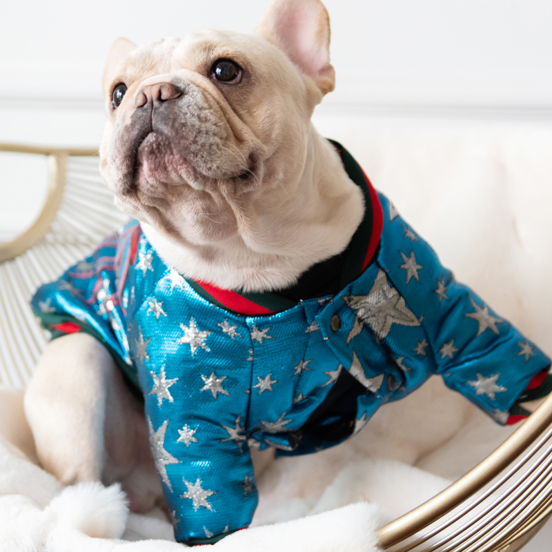 Suprepet French Bulldog Pet Trend Dog Suit Winter Confortable CHAUDE RETRO CHIE