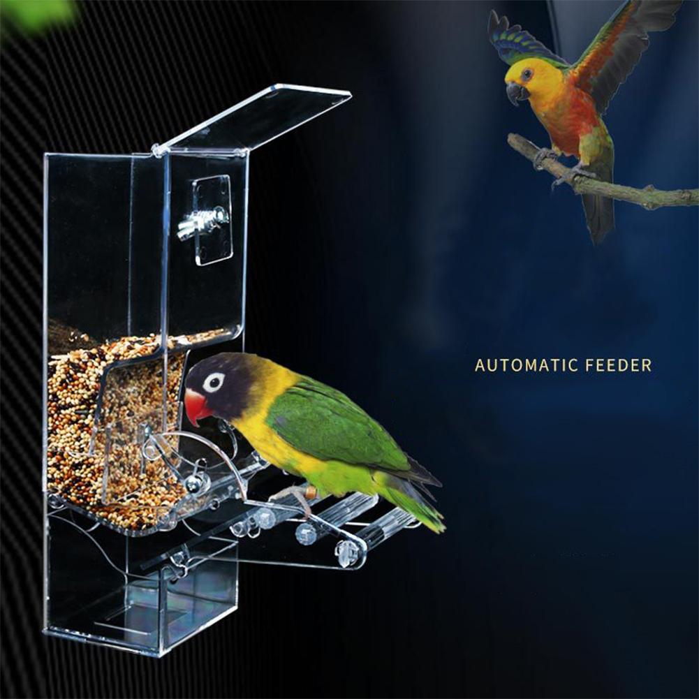 Bird Feeder Bird Phortry Feeder Автоматический акриловый пищевой контейнер попугайный пашной аппарат для кормления птиц в клетке аксессуары