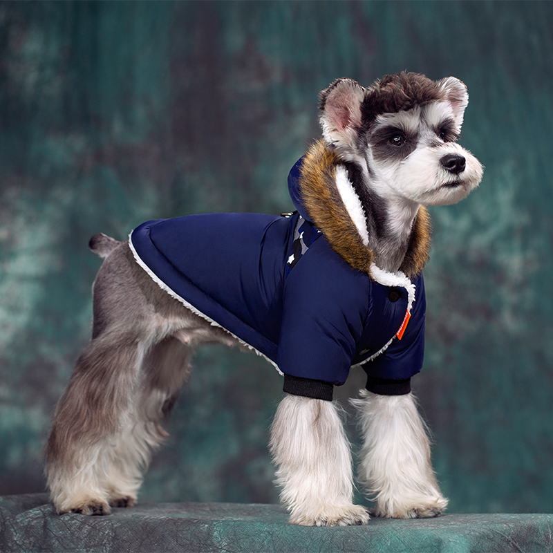 Vêtements pour chiens hivernaux super chauds pour petits chiens Tissu imperméable Automne à sweats à capuche épais animaux Chihuahua Costume de costume de fourrure pour carlin