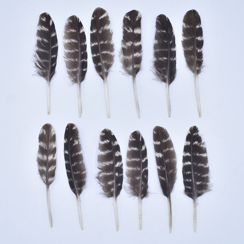 Petits plumes naturelles de dinde pour les bijoux de fabrication de bijoux 6 à 10 cm accessoires d'artisanat de bricolage Stripe Poulet Plumes Plumes