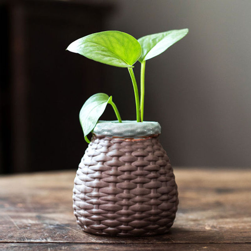 Vase de flores hidropónicas creativas jarrón bergamot de planta verde maconesi contenedor artesanía de cerámica decoración del jardín del hogar