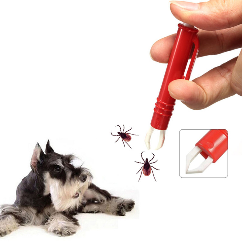 Removedor de carrapato de estimação Ferramenta de gato CAIL CABELO DE CABELO DE CABELO TWEEZER CABELO DE PET CABEÇA TWISTER REMOÇÃO DE FLEA TICK PARA CATOS CATOS