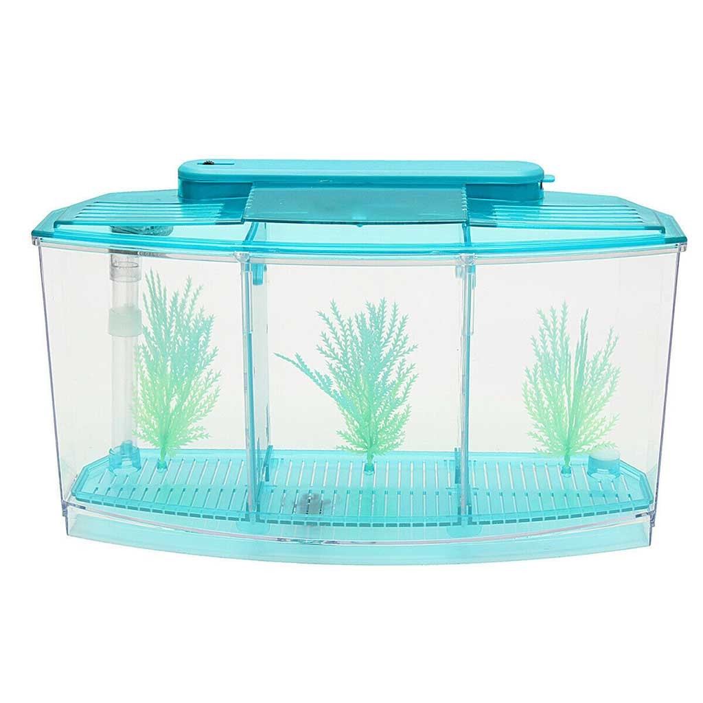 450 ml aquarium arylique avec 3 compartiments mini aquarium d'herbe à pêche 6 lumières LED Tube filtrage d'eau