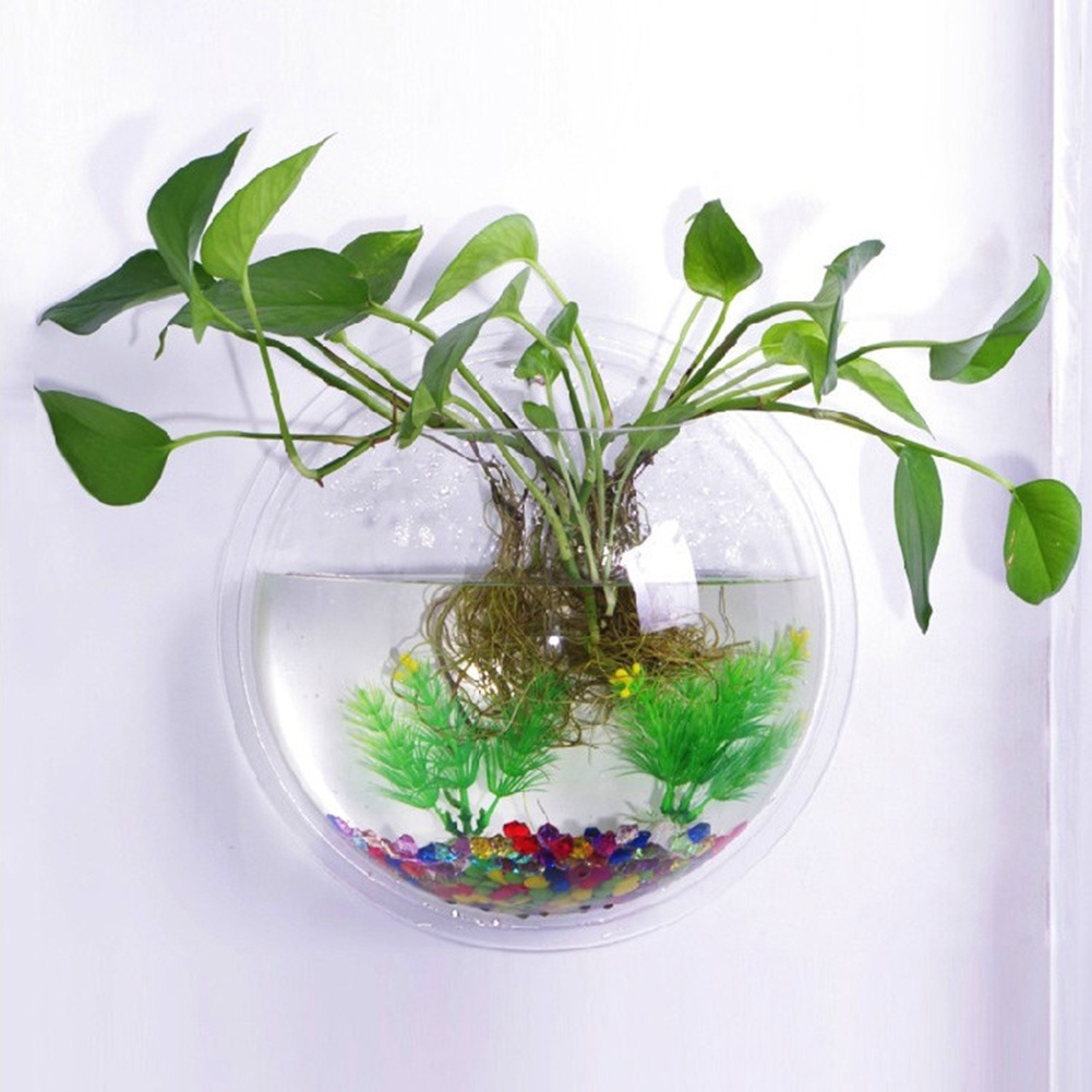 Vase en verre transparent Mur en verre suspendu Terrarium Terrarium Terrarium Fish Tanks Plante Plant Flower Pot Dia 15/17/22,5 cm