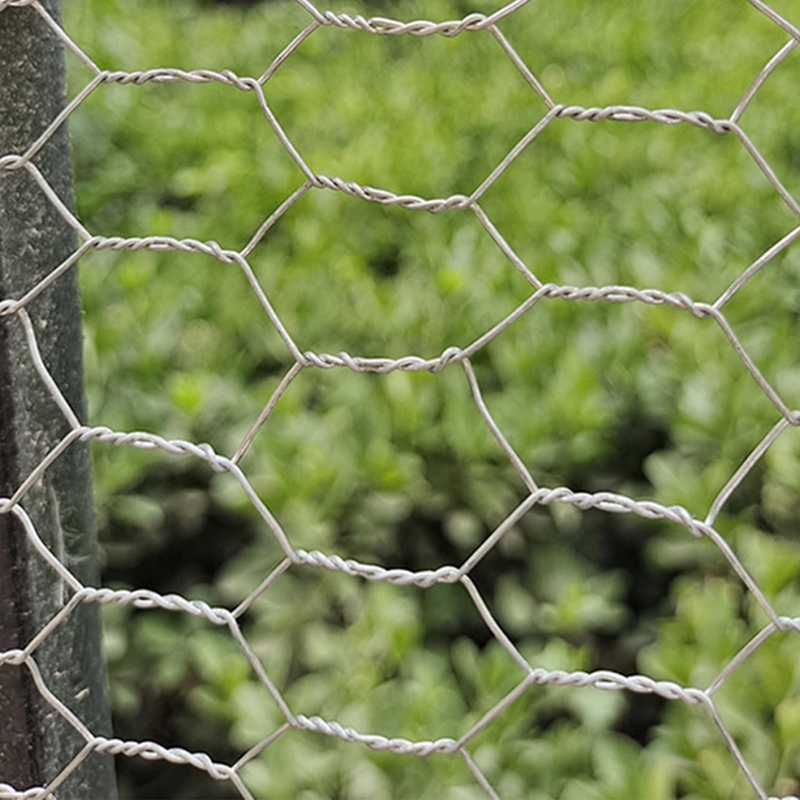 Multifunctional Chicken Wire Net Durable Animal Fence Netting Galvanized Hexagonal Wire Mesh Fence for Home Garden Yard E7CB