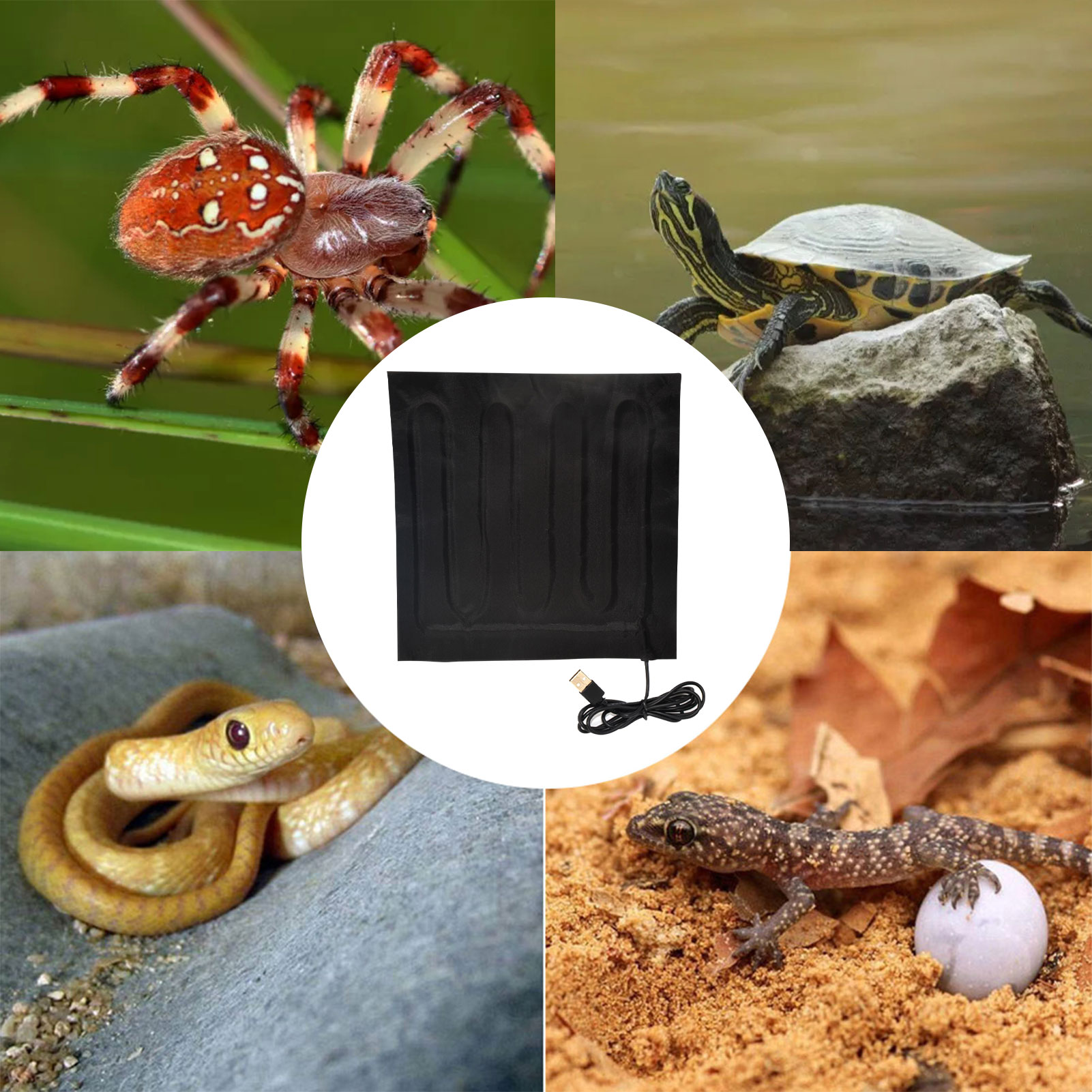 8W Reptile Heat Mat Reptile Terrarium klimmen Pet Verwarming Warme Pads Verstelbare temperatuurregelaar Matten Reptielen Reptielen Leveringen