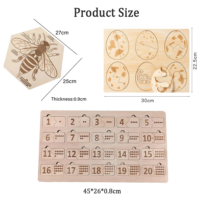 Montessori Wooden Life Cycle Puzzles Toy Bee Insect Structure d'apprentissage Cycle de croissance de la plante Science Aides d'enseignement