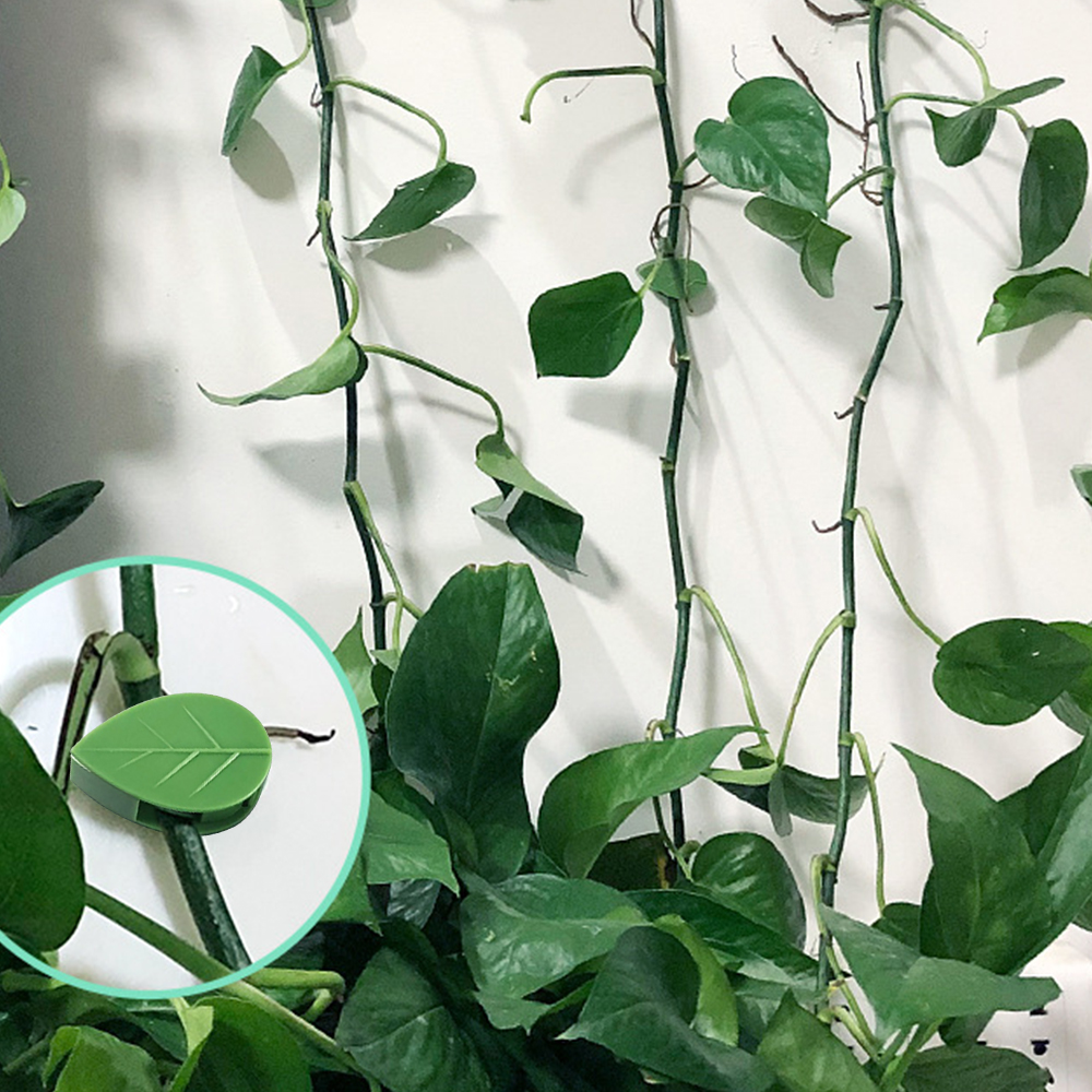 目に見えない壁のつる粘着性フック固定クリップクライミングプラントティーズホルダー屋外屋内小型植物ブラケット