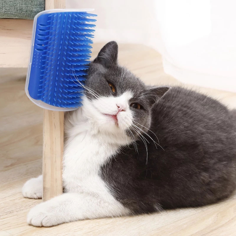 Chats Brush Corner Self-toiromer Masageur Brush Rpoval Repuval Peigne Fournitures pour animaux de compagnie Brosse de massage des cheveux de coiffure