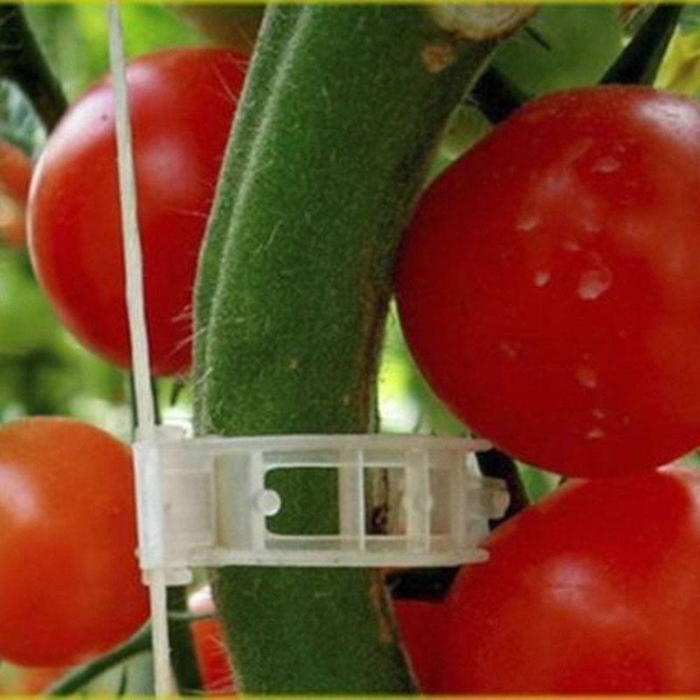 Nouveau 50 / Trellis en plastique Clip de tomates Soutiens Connects Plants Vines Cages Greenhouse Veggie Garden Plant Plant Clip