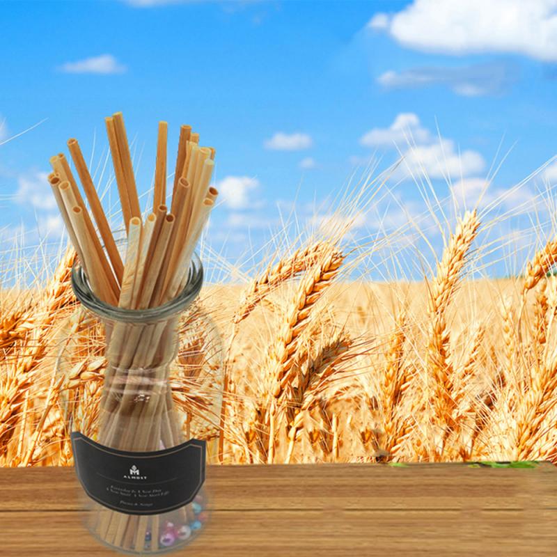 Paules organiques réutilisables Paigne de blé Paigne de consommation pour la consommation environnementale Paies de consommation du bar