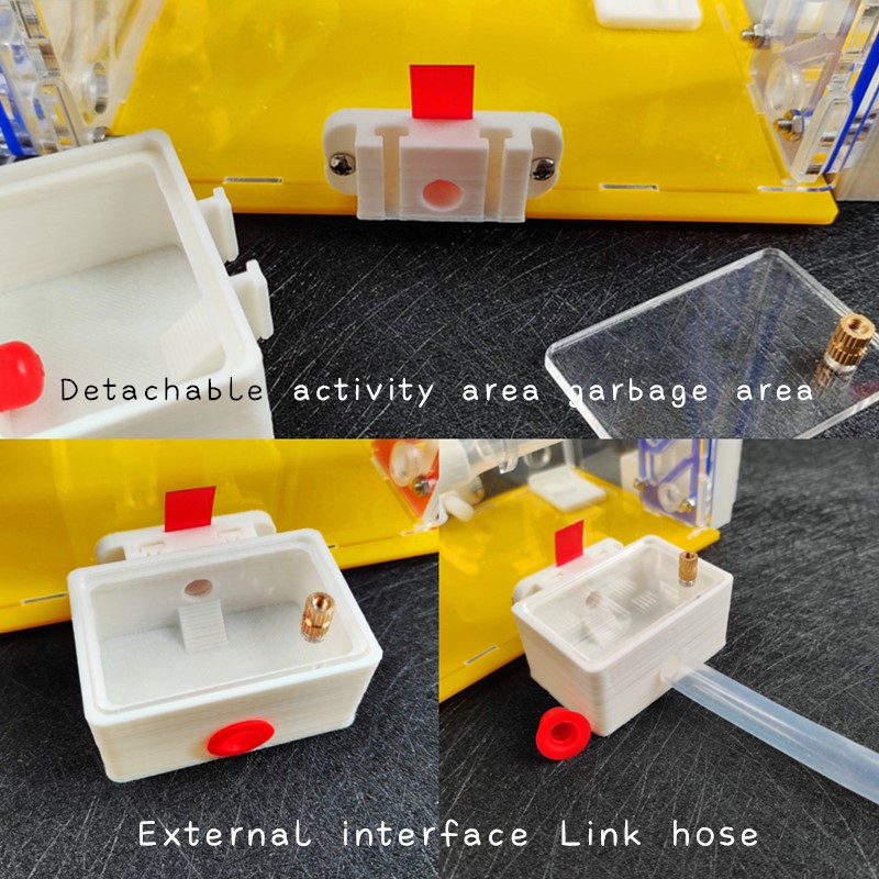 ACRILICA ANT FARM 3D NEST ANT con area di alimentazione IDETURE ACQUA CAMPARE ACQUA INSETTO CASA VILA ANTHILL PET PET Workshop 11*15*21 cm