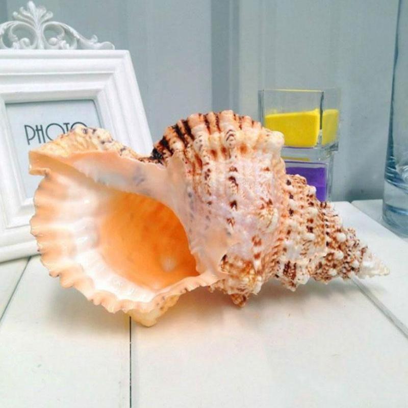 Natürliche Muschelschalen Korallensee Schneckenfischtank Home Ornament
