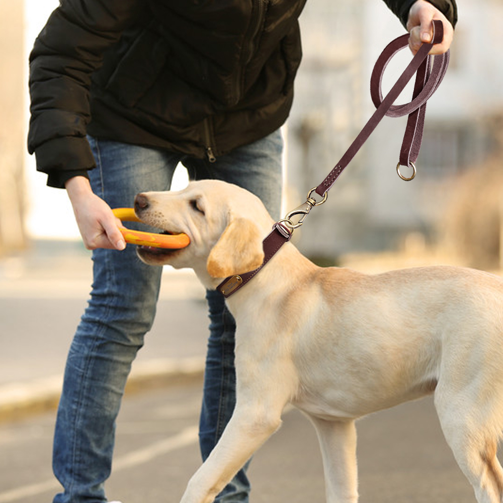 パーソナライズされた犬の首輪とリーシュセットリアルレザーペットカラードッグウォーキングリードリーシュの小さな大きな犬ピットブルxxs-xl