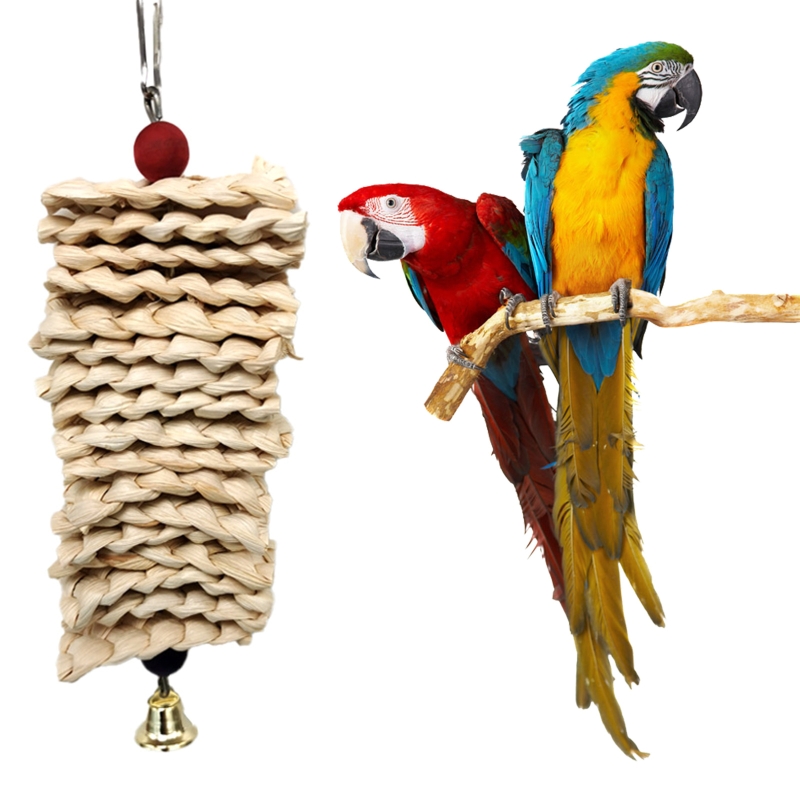 Jouets oiseaux mâches jouet perroquette cage morsh toys colocteurs de maïs color les perles de divertissement pour les petits et moyens perroquets oiseaux