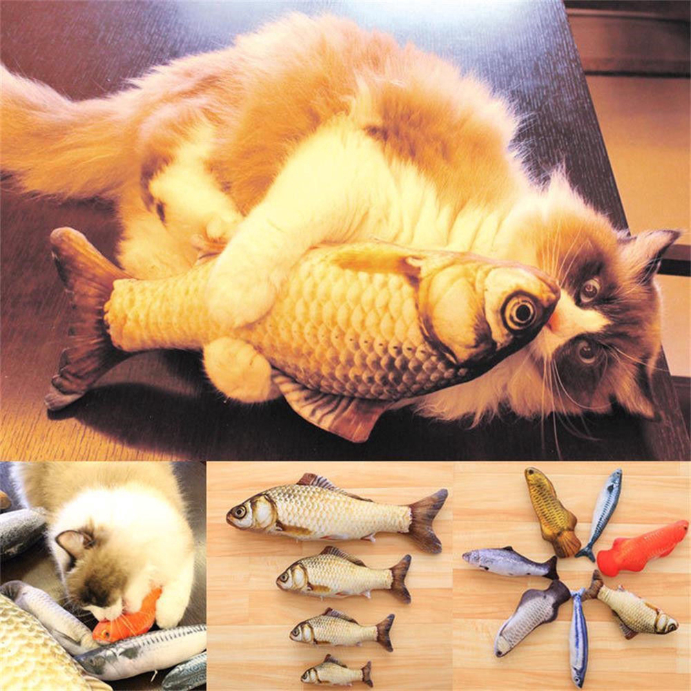 Pet Cat Kitten Fish Fish Shape Catnip Resistente al morso Giocando Gracciano giocattolo masticolo