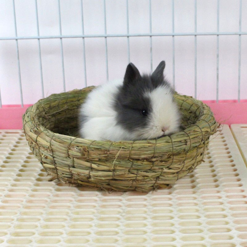 Rabbit Grass Chew Mat Natural Soft Grass Hamster House Guinea Pig Cage Bed House Pad Pet Dog Cat Hamster Accessories