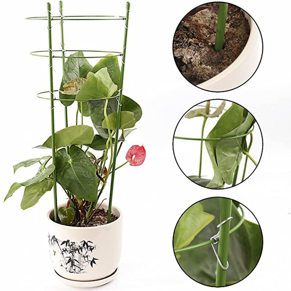 Supporto impianti di arrampicata da giardino Cage Garden Trellis Flowers Rings Support Tomato Support Garden Plant Care