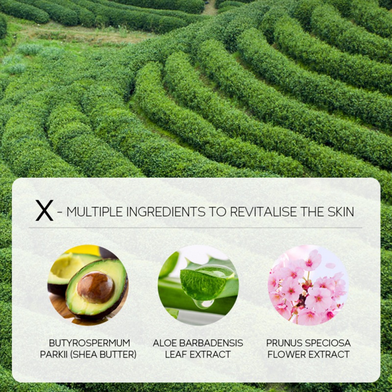 60g Green Tea Cutin Gel Gel Exfoliators Gold Pores Pores Soins de la peau enlever la peau morte de crème rajeunissante