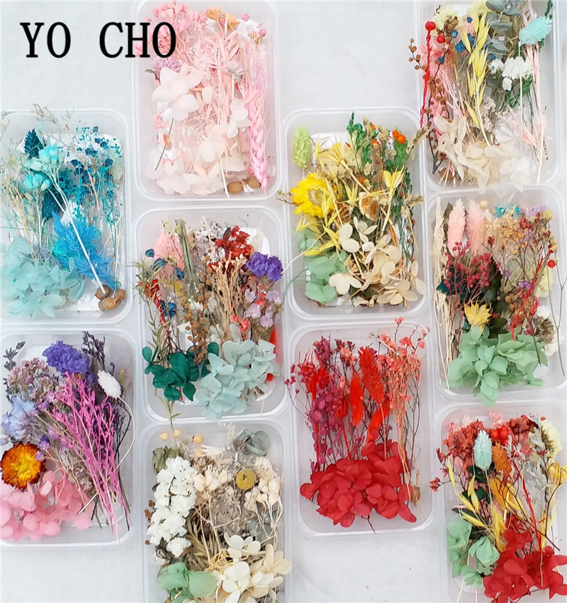 Yo Cho 1 Box Mix Real Fresh Drooged Flower Natural Floral for Art Craft Scrapbooking Resin Sieraden Craft Making Epoxy Mold Filling