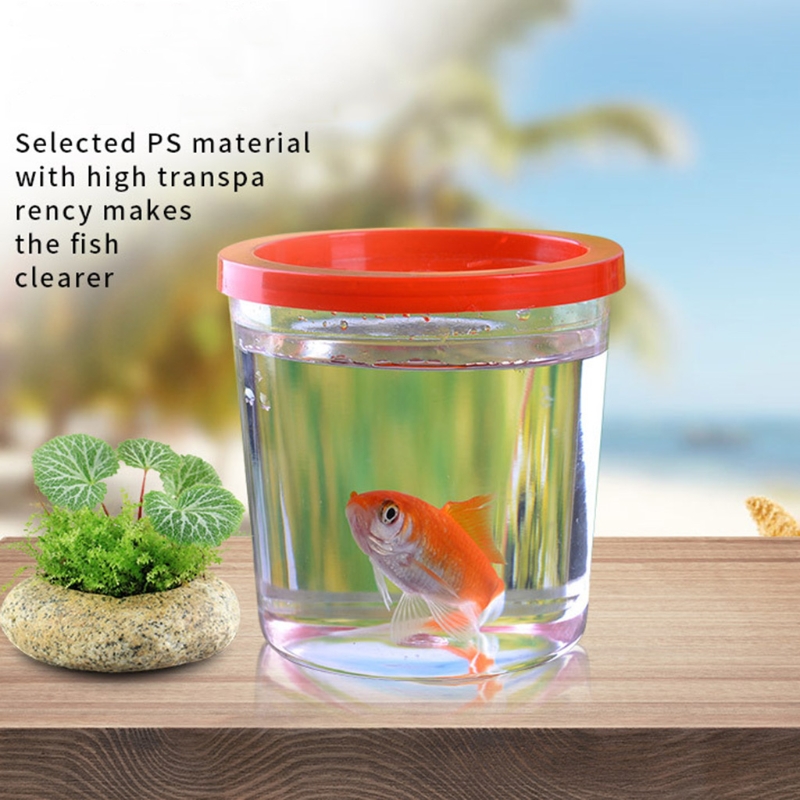 Mini Aquarium Fish Cups Bowls för små fiskar och sköldpaddor Clear Aquariums för barn Perfekt födelsedagspresentidéer