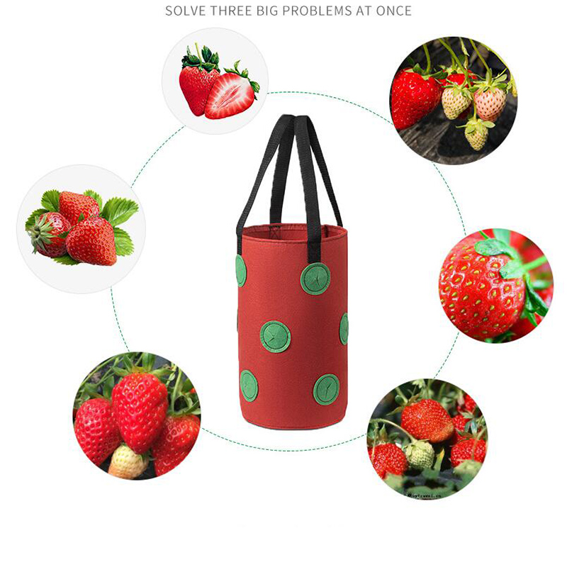 3 gal 12 troines de la fraise cultiver des sacs de pot plantes fleur de fleur de tomate Fleurée mur de jardin suspendu la racine de légumes plantant réutilisable