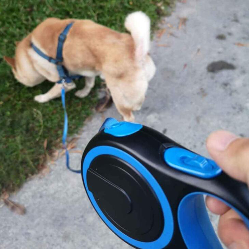 5 m Dog Leash Automatico retrattile pet cane gatto guinzaglio cani che cammina gue