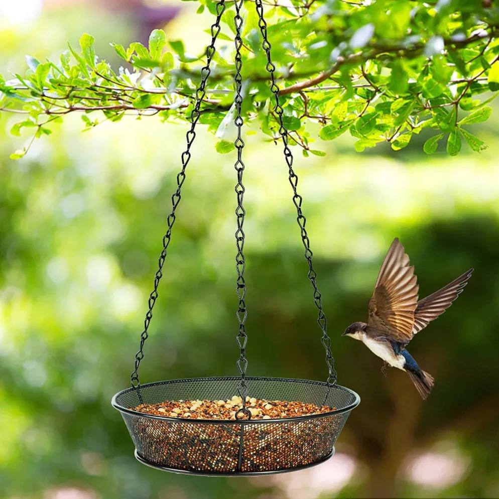 Alimentador de pájaros de metal colgante balcón al aire libre alimentador de colibrí con cadena