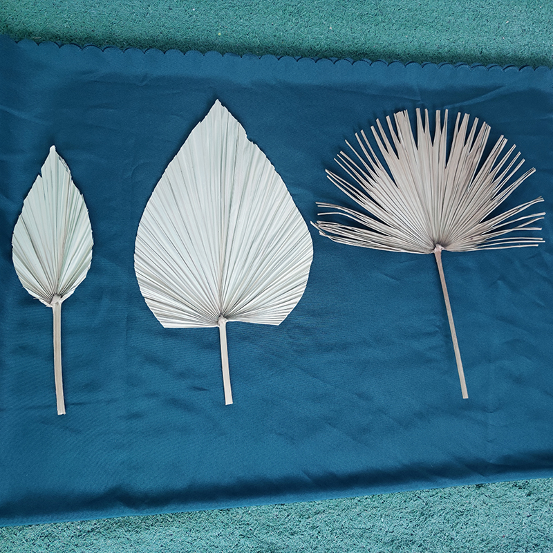 Hvayi-Palm Fan Leaf, fleur séchée, réception de table, art de banquet, décoration suspendue au mur, arc de mariage