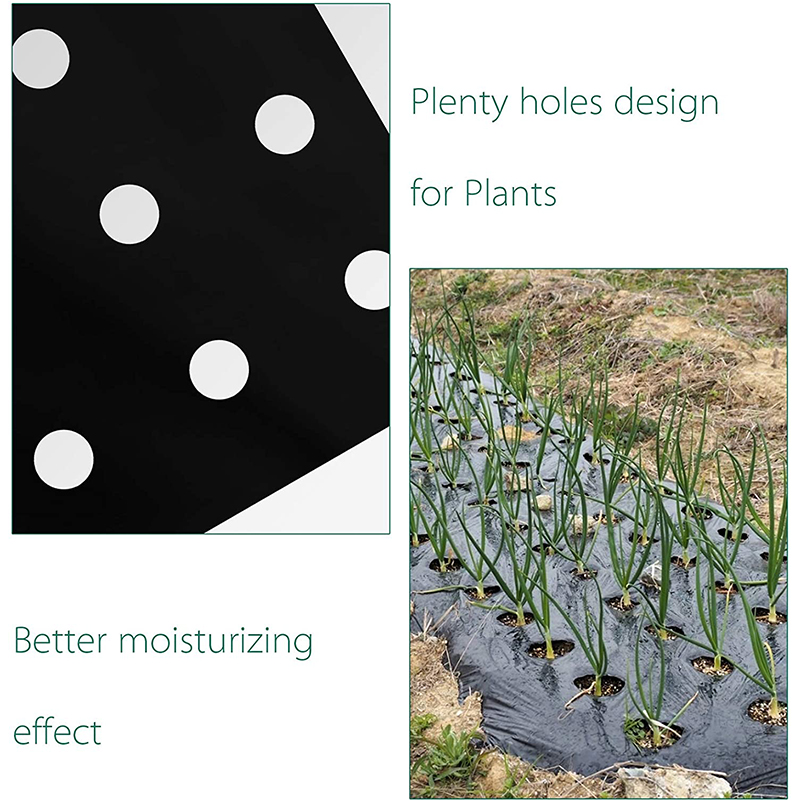 Plastik Film Dikim delikleri Bahçe Ot Kontrol Bariyeri Film Malçat Nefes Alabilir Bahçecilik Çiftçilik M için Peyzaj Kavrası