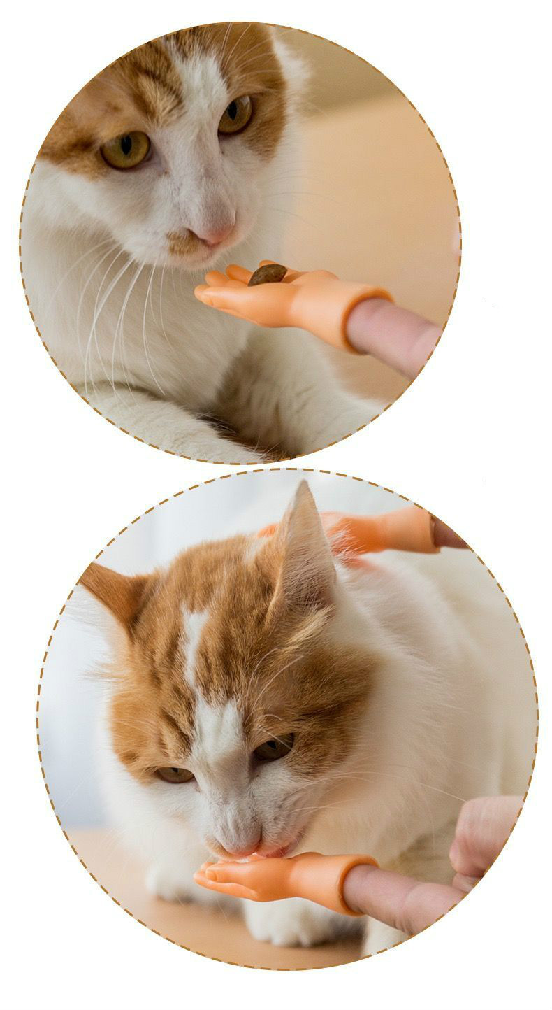 Cat Toy Interactive Pet Toys Kitten Puzzle Massage Cleaning Supplies Gatos Mascotas Accesorios DLA Kota Jugutes Jouet