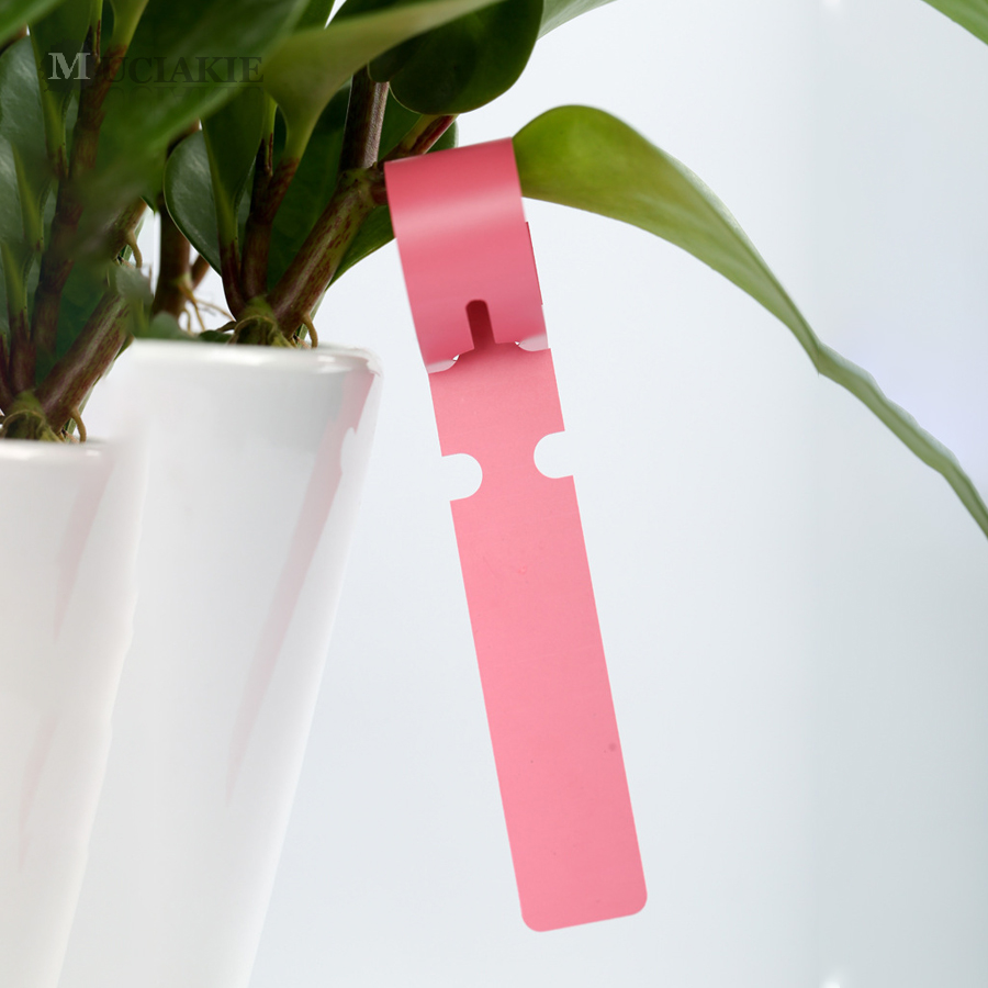 Jardinage PVC Tags Nursery Garden Plant lié marqueurs en plastique Étiquette d'affichage en plastique Ornement d'arbre de pieu en pot durable