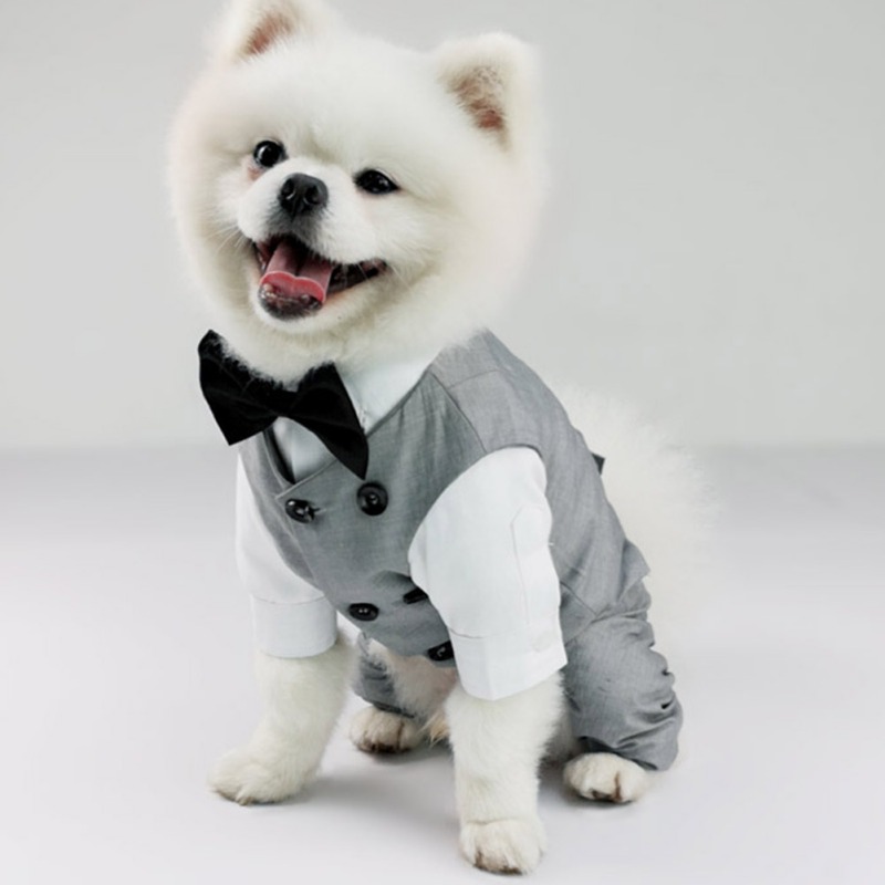 Tuxedo de cachorro Tuxedo para pequeno colete formal de smoking de raça média com roupas de cachorro de gravata borbole
