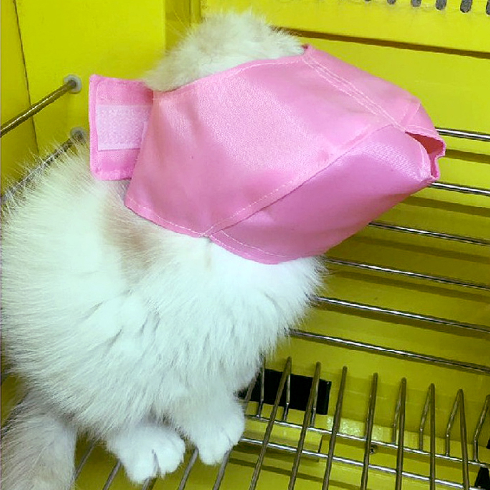 Huisdier oogmasker katbad cosmetisch snuit schoonheid verzorging kattenbenodigdheden blinddoek patch