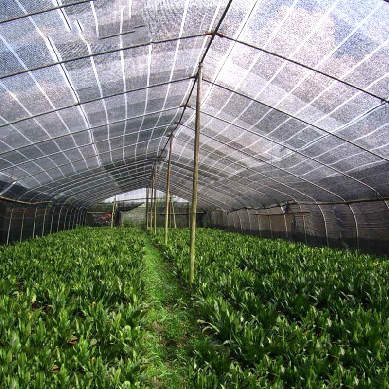 4pin Black Sunshade Net Rading 60 ~ 65% Garden Plant Greenhouse CHOLES NET NESO Słońce Słońce żagiel Agriculture Rolnictwo