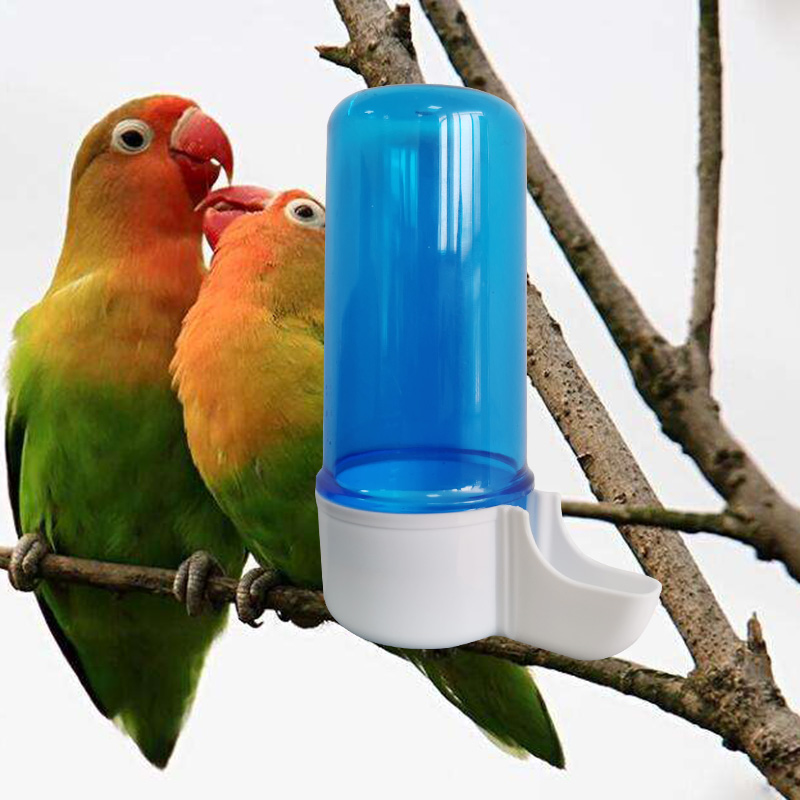 Semi Automatisk papegoja Drinker Parrot Feeding Box Birdcage Drinker Transparent Blue Parrot Bird Cage Waterer 120 ml 1 st